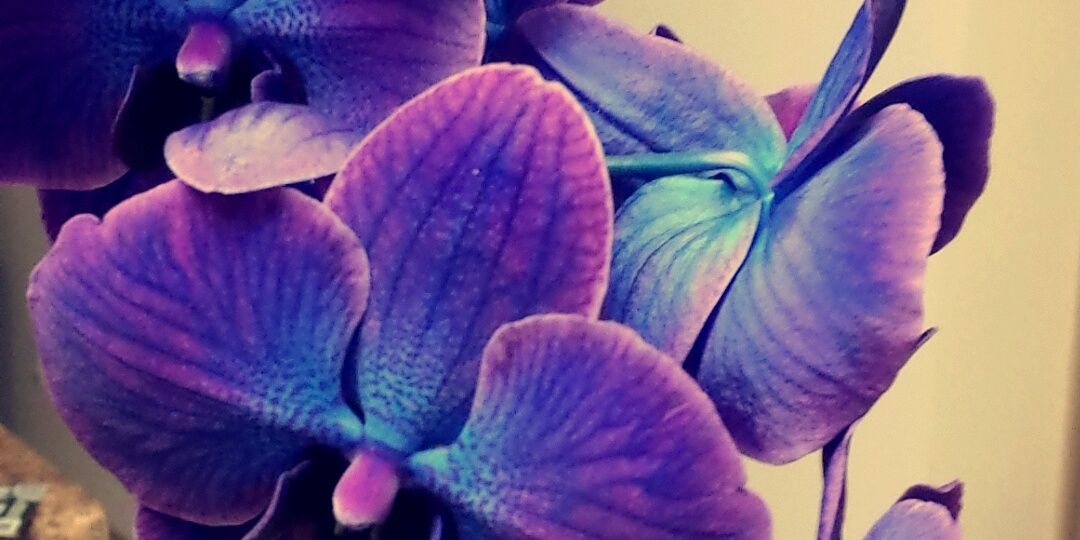 Watsonk211's profile banner image