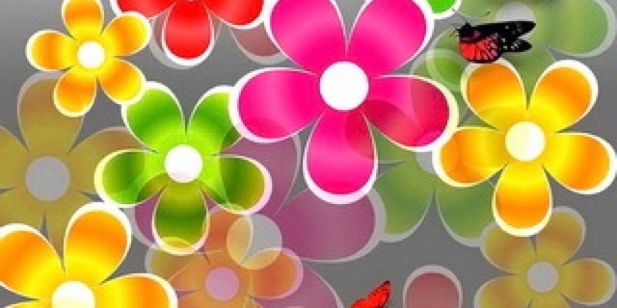 Donna3476's profile banner image