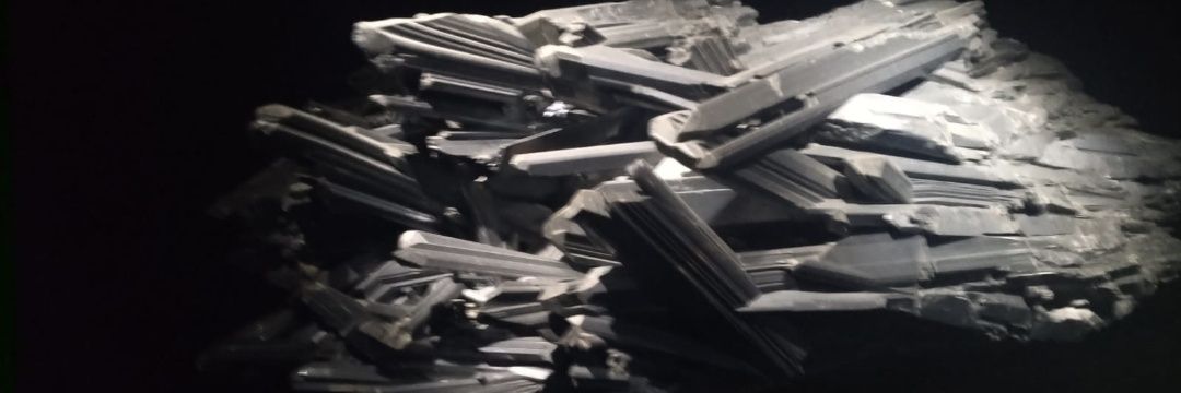 Carlos Malmoro banner