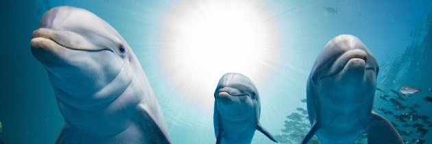 Unenanne's profile banner image