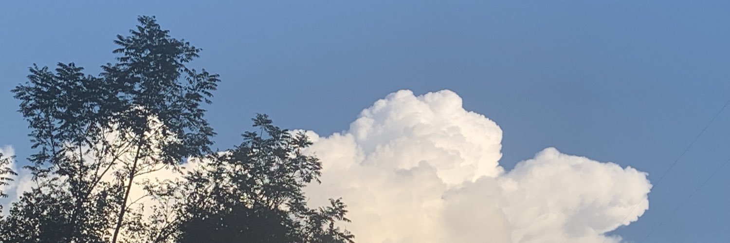 LostAndDamn's profile banner image