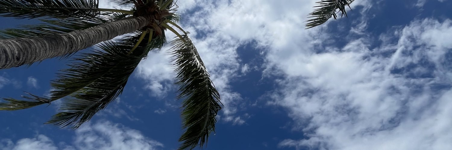 lliimmps's profile banner image