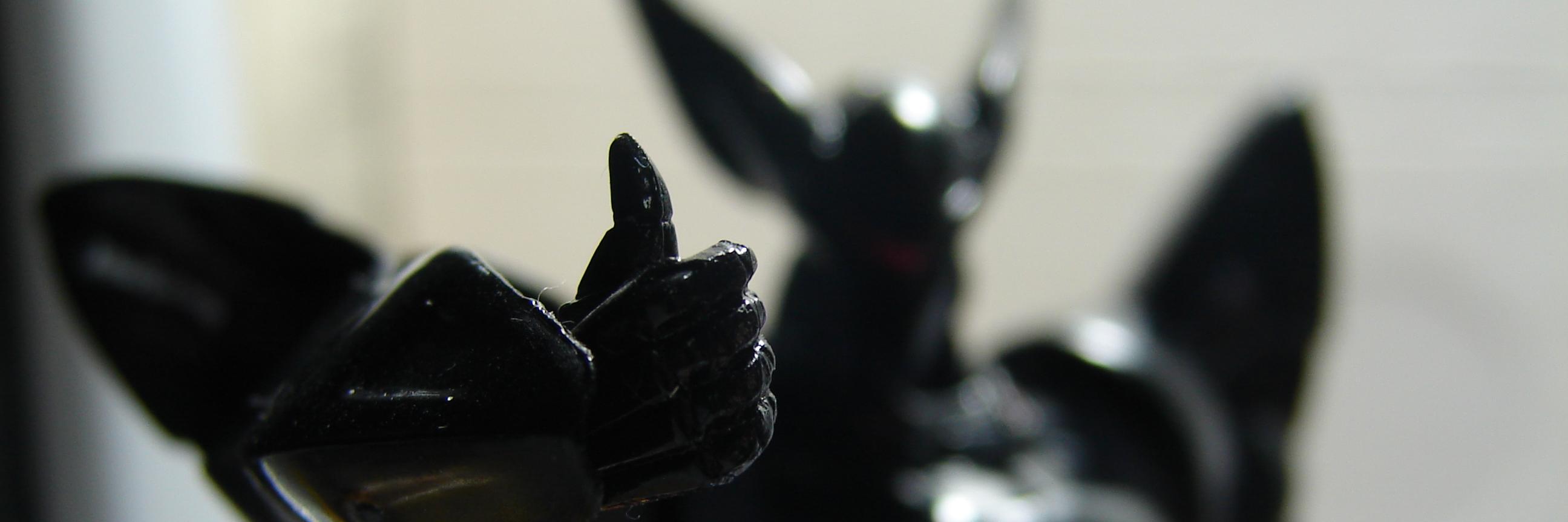 sschiba's profile banner image