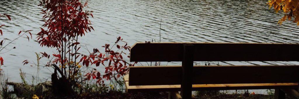 SAlhweity's profile banner image