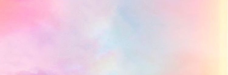 michelle_ziggy's profile banner image