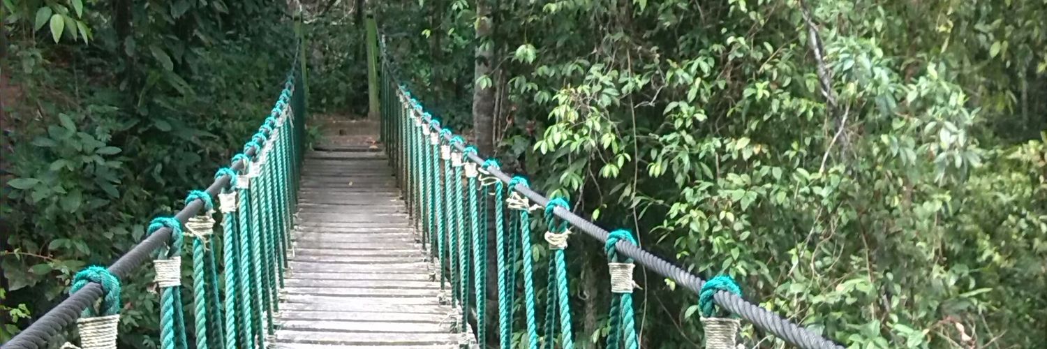 alboradaazul22's profile banner image