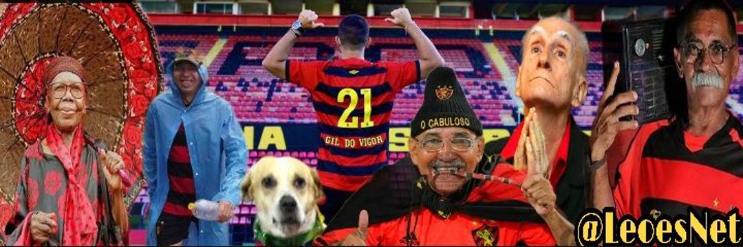 Leões Net ⭐ banner