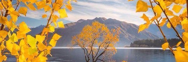 JPraetz's profile banner image