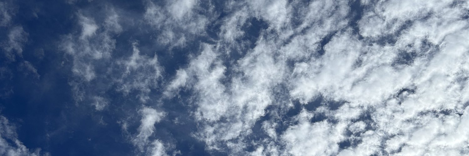 S.Melendrez banner