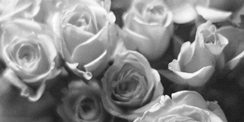 itsjamielvgdr's profile banner image