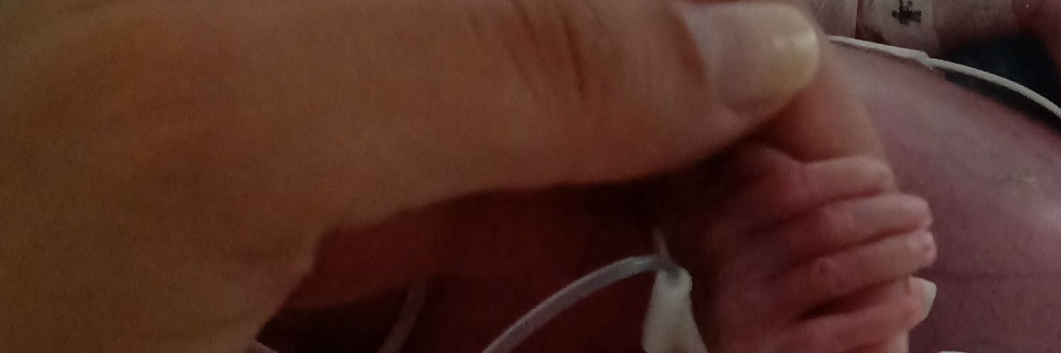 n_thayna's profile banner image