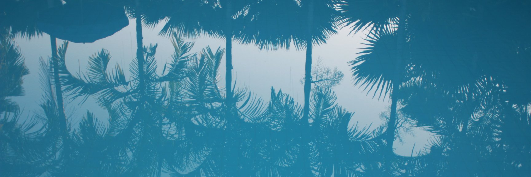 Anne-Laure PLESSIER banner