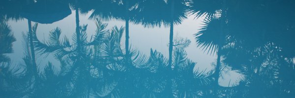 al_plessier Profile Banner