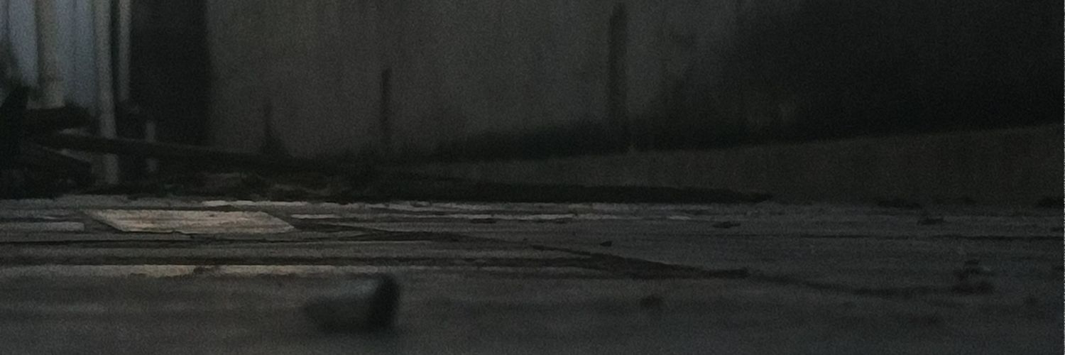 ylnfhmd's profile banner image