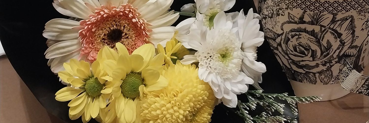 DinnaJN's profile banner image