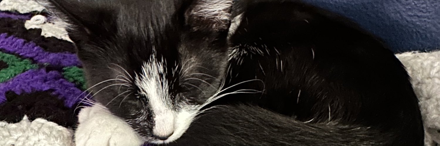 null_homie's profile banner image