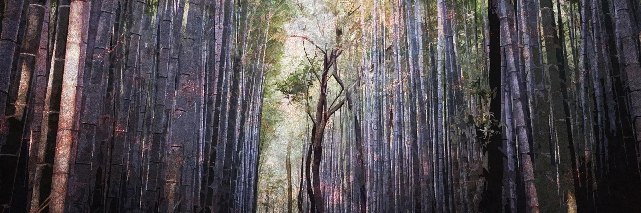 Frédéric Hauté banner