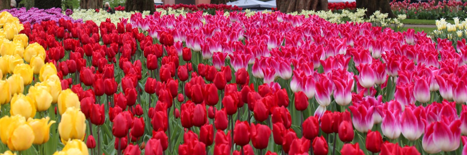 anna_baratta's profile banner image