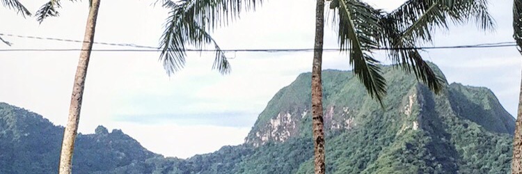 brinickijay's profile banner image