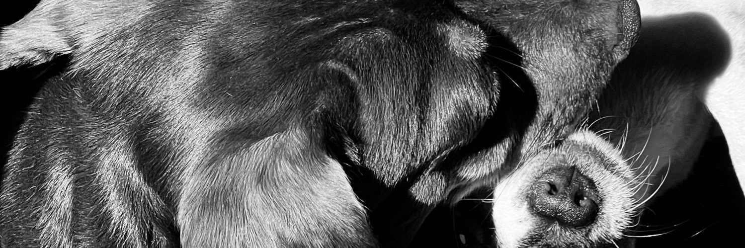 pamnecillo's profile banner image