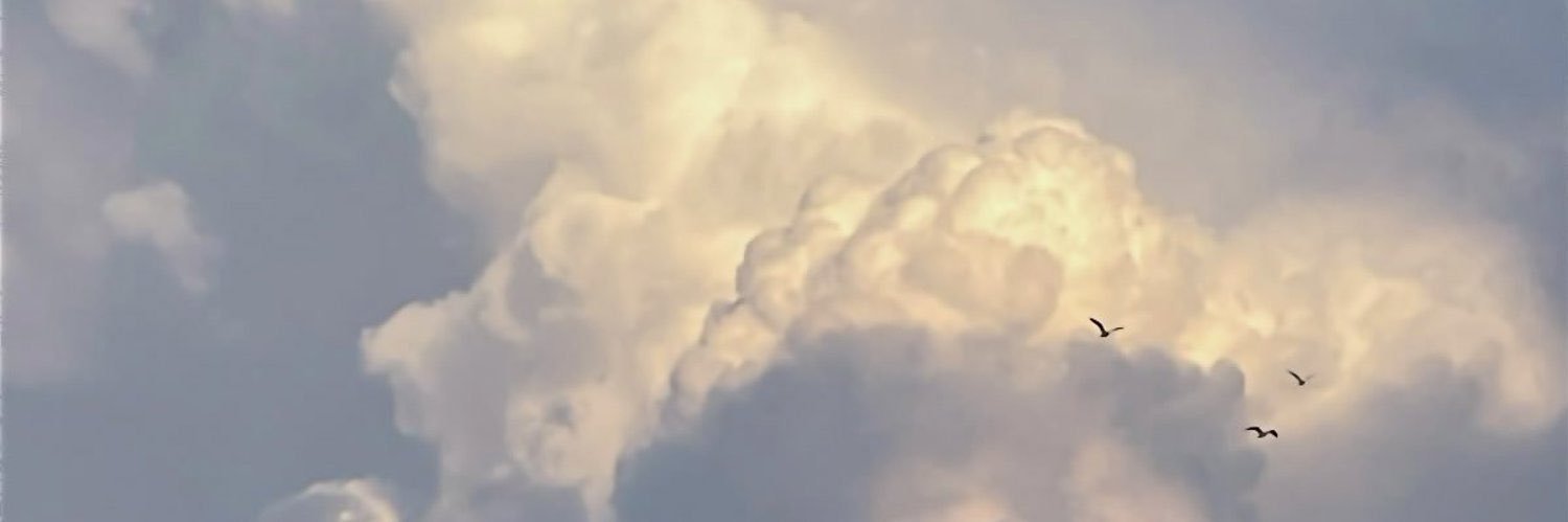 0Sh_00's profile banner image