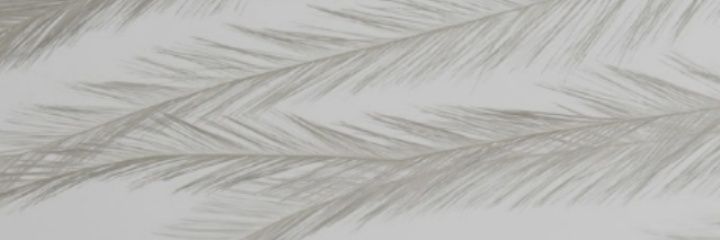 leonx_'s profile banner image
