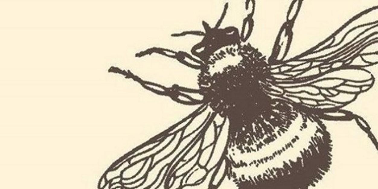 thehivepub's profile banner image