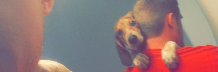 Sully_003's profile banner image
