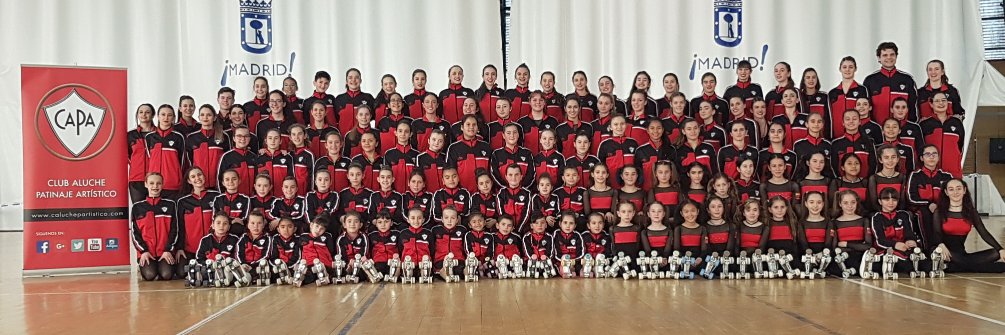 CAluchePArtistico banner