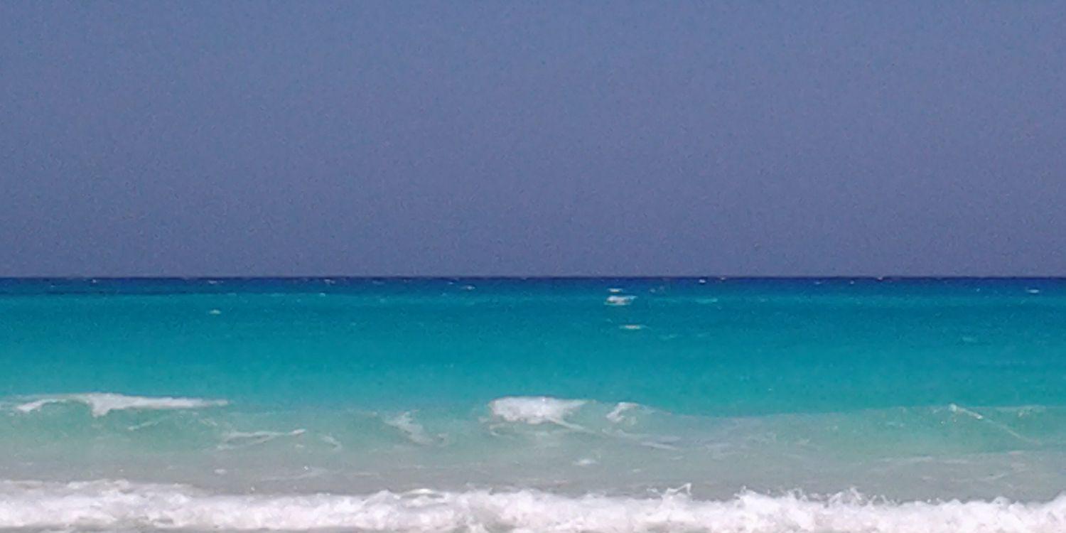 memamema2015's profile banner image