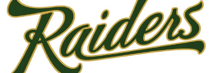 SM South Baseball banner
