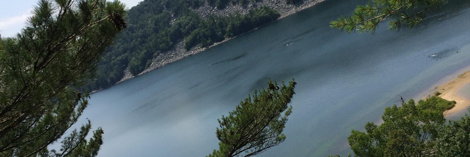 tamaragtownsend's profile banner image