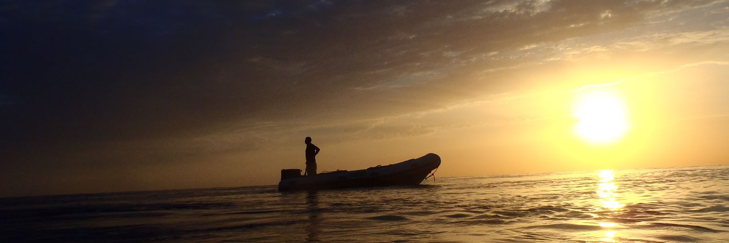 Antonio Ochoa banner