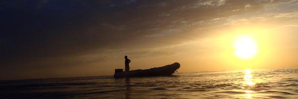 afocoa Profile Banner