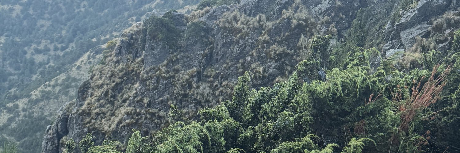 CarlaCarCar's profile banner image
