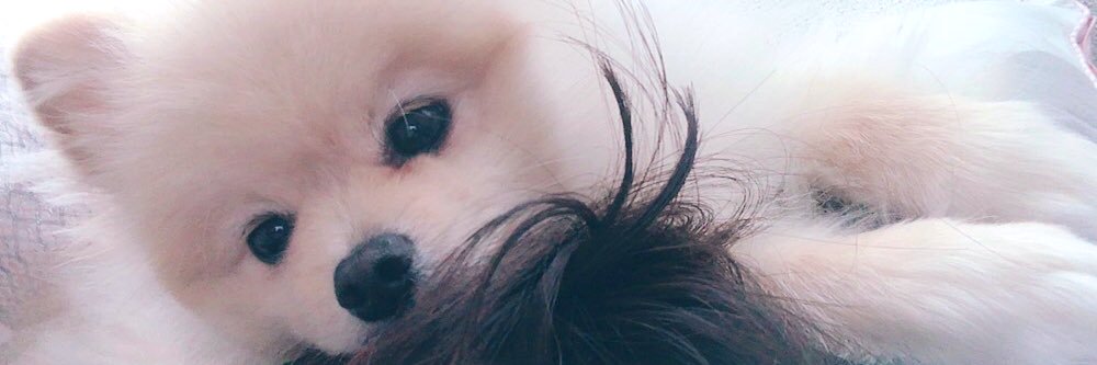 achil___'s profile banner image
