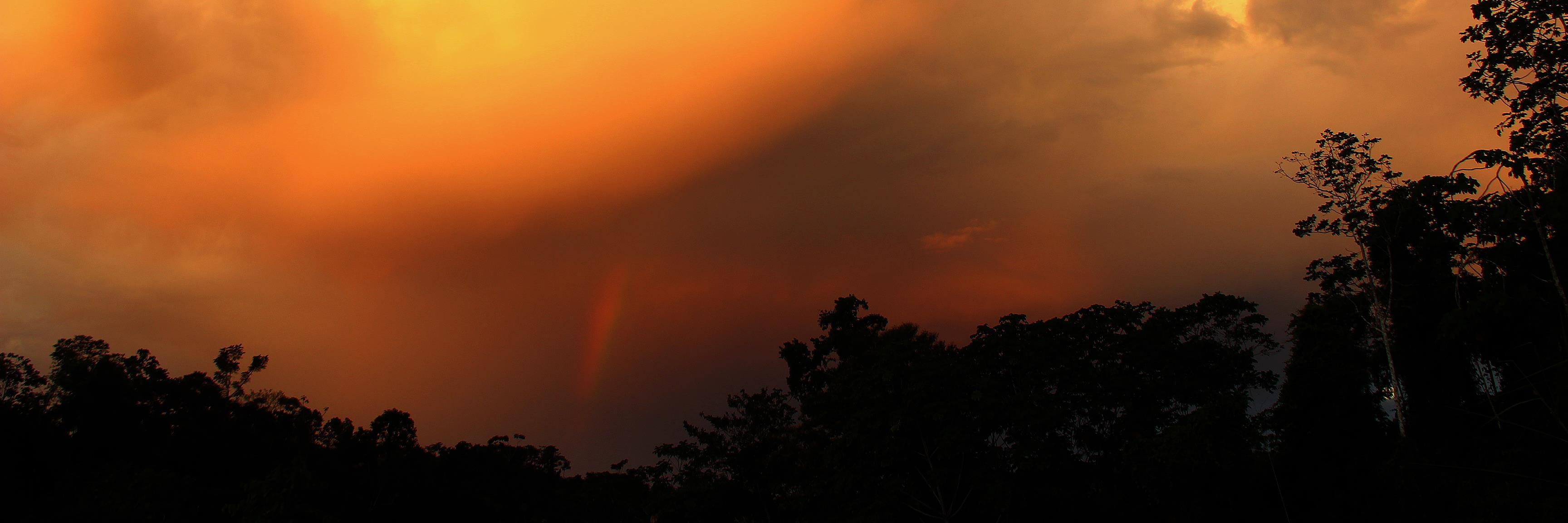LMHadzich's profile banner image