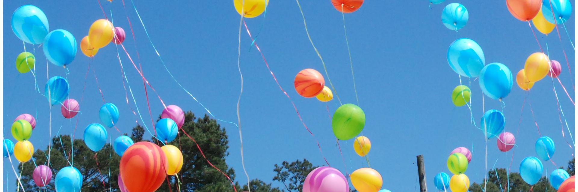 DreamDayFdn's profile banner image