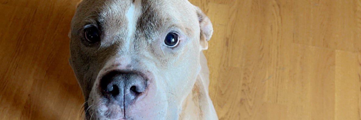 Earv Bryant banner