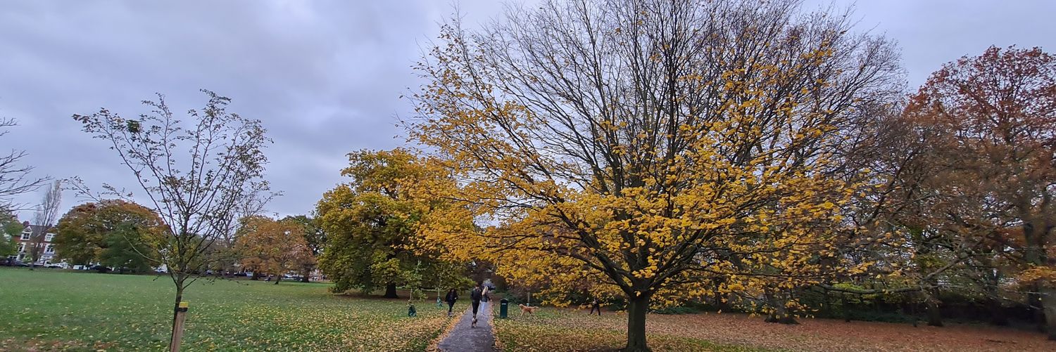 Lapswood's profile banner image