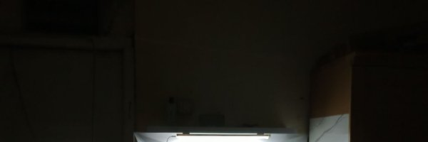 sainedoll Profile Banner