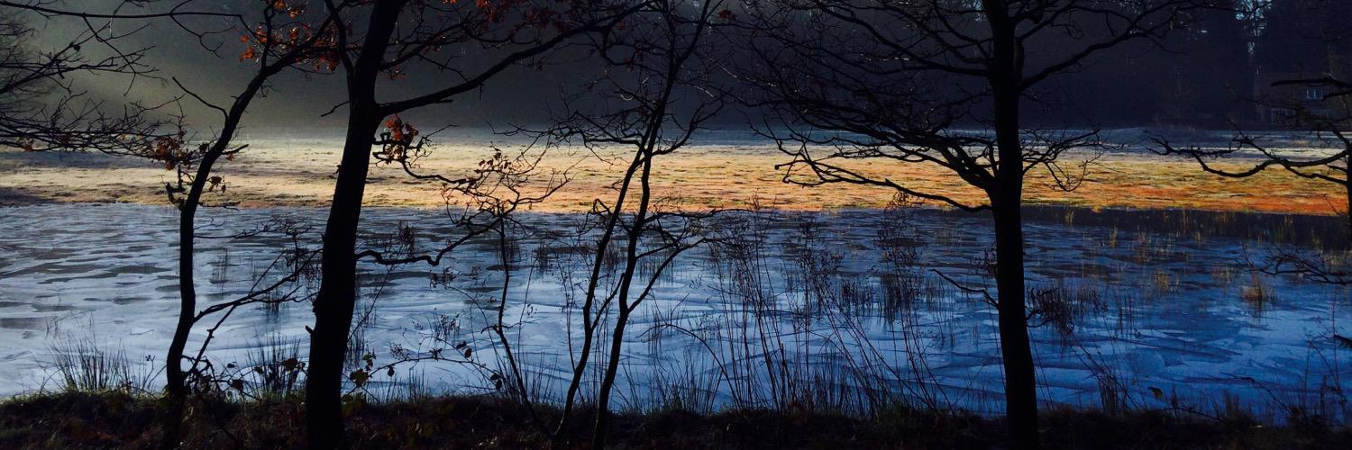 VanDijkFenna's profile banner image