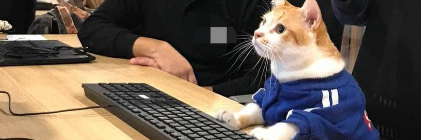 sharinho_'s profile banner image