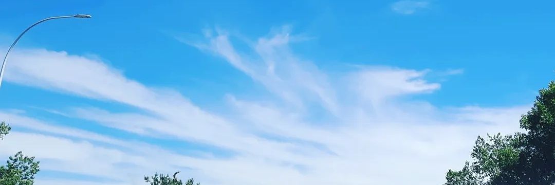 Red_Duchess's profile banner image