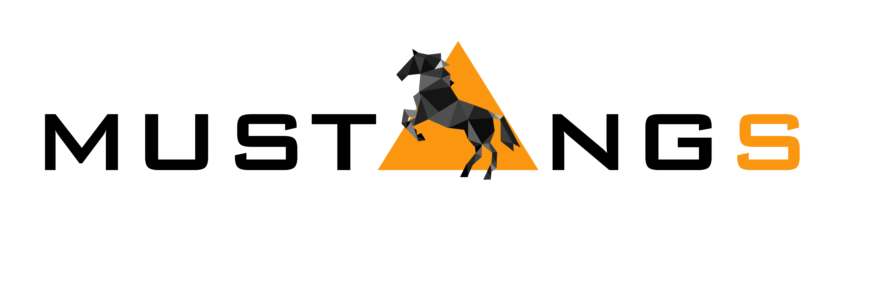 teamustangs's profile banner image