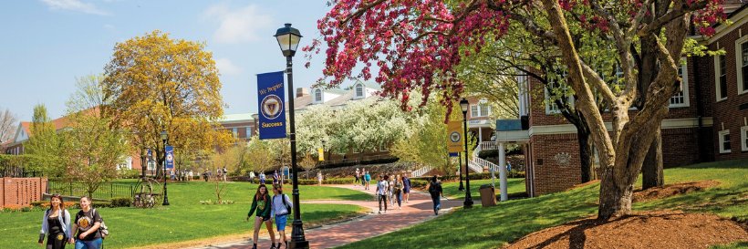 WNEalumni's profile banner image