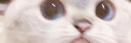 pa_limos's profile banner image