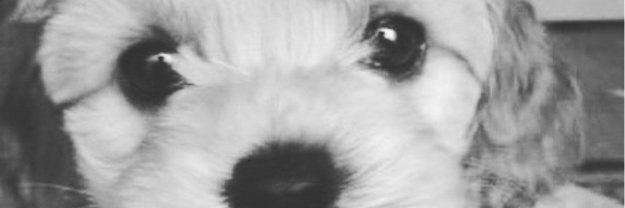 Krn__Happi's profile banner image