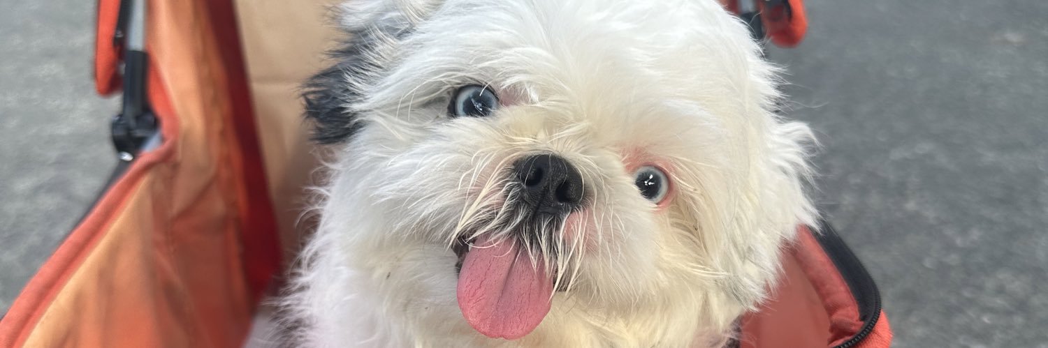 nikkimorabe's profile banner image