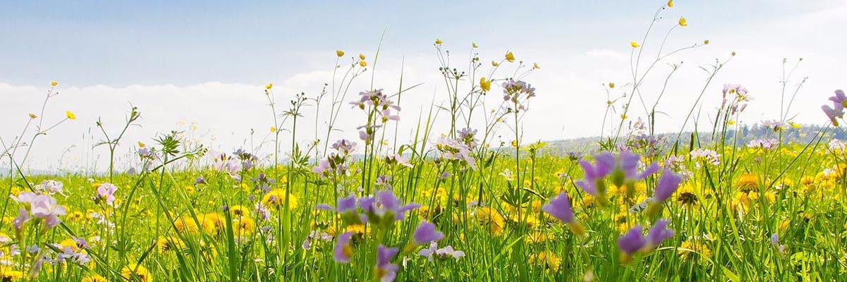 Ecolabel's profile banner image